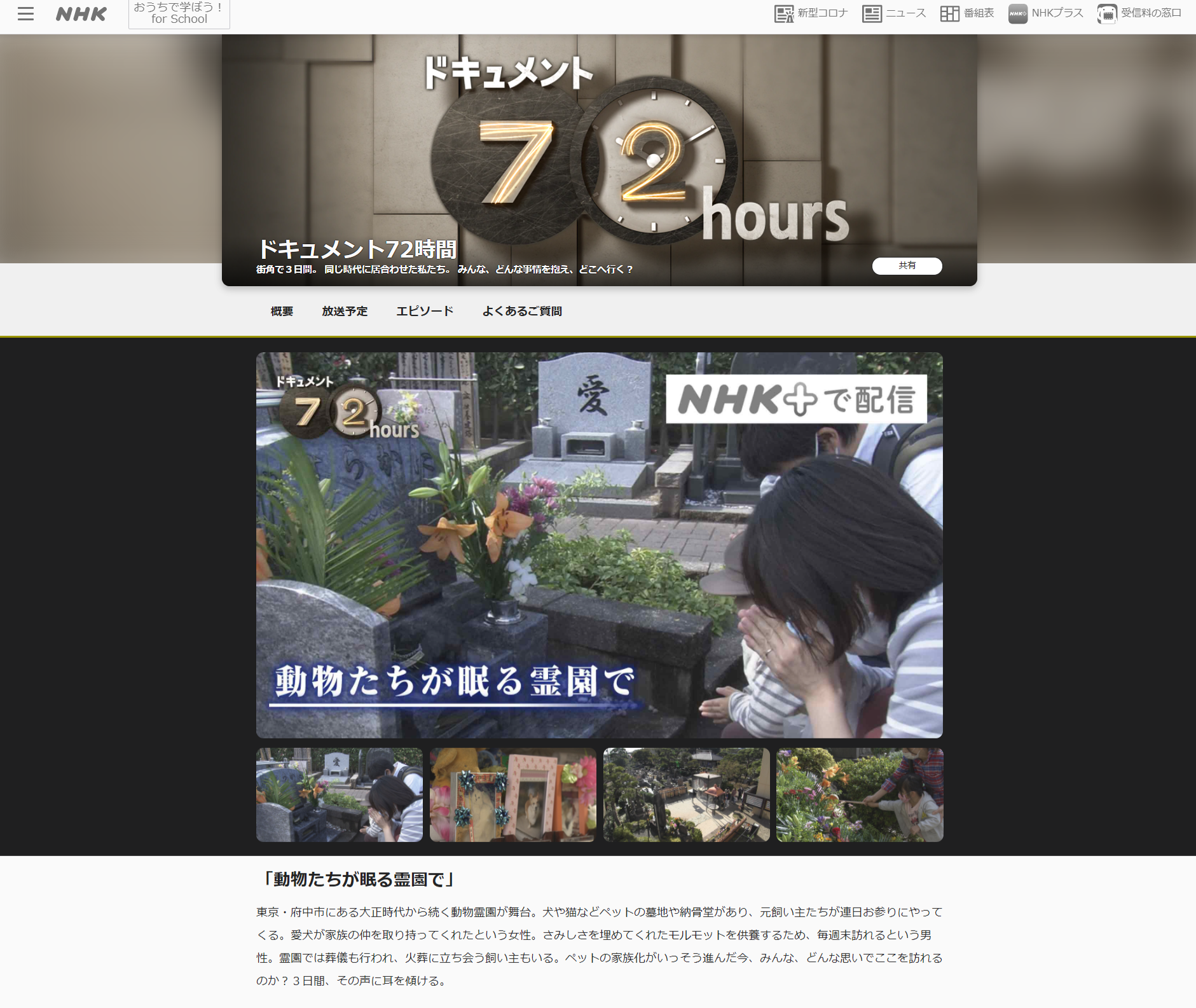 Nhk ドキュメント７２時間 再放送のご案内 慈恵院 付属多摩犬猫霊園